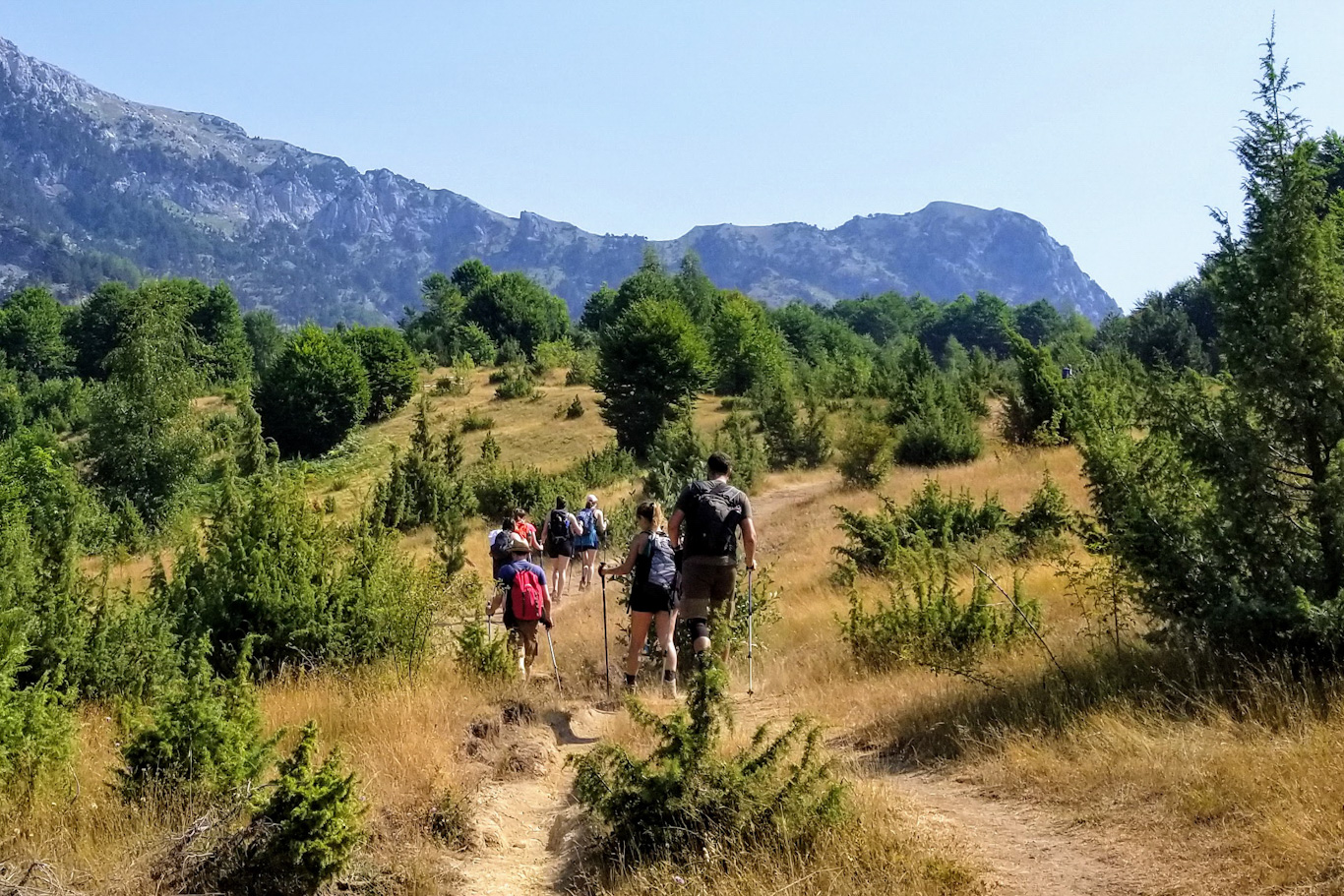 A group of hikers in the mountains